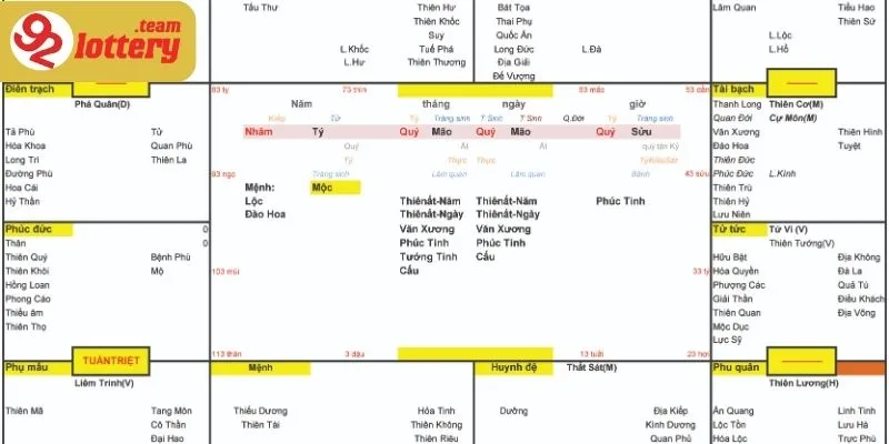 Có thể dùng tử vi theo hướng chuyên sâu hoặc ứng dụng ngắn hạn