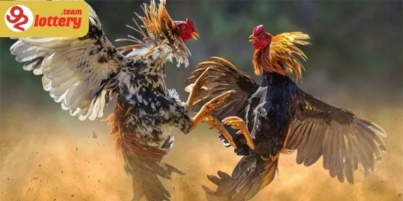 Hệ thống phát sóng chất lượng độ phân giải tuyệt đối tốc độ truyền tải ổn định