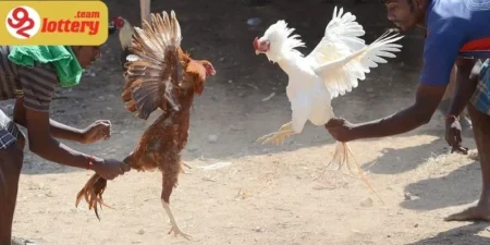 Sự ổn định trong phát sóng giúp cược thủ an tâm đặt cược