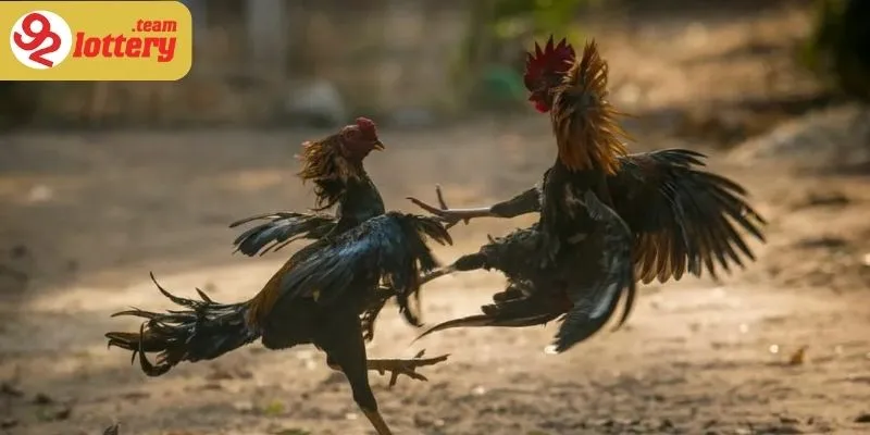 Thành công không thể thiếu phần phản hồi tích cực từ người dùng